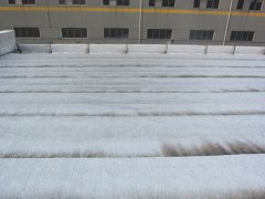 戴维布朗屋顶